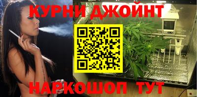 шишки Бузулук