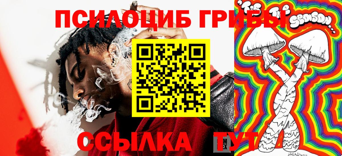 Сарапул  Псилоцибиновые грибы ЛСД  Вход с VPN  Псилоцибиновые грибы ЛСД 